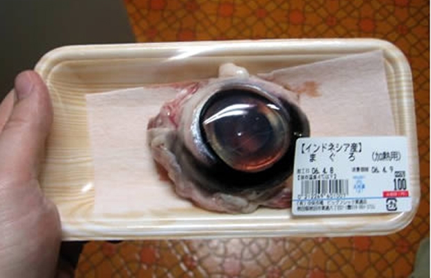 Chúng được bán với giá khá "mềm", khoảng 100/yên (tương đương 21 nghìn đồng) một mắt.