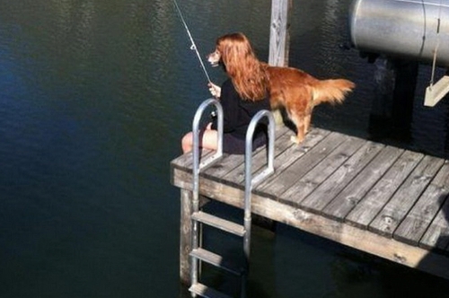 Dĩ nhiên, chó thì làm sao biết câu cá được.