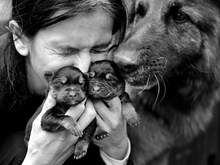 Bức ảnh vợ Sebastian, bà Agnes chụp với chó mẹ Roka và 2 con của nó, được đặt tên là “Hai bà mẹ”.
