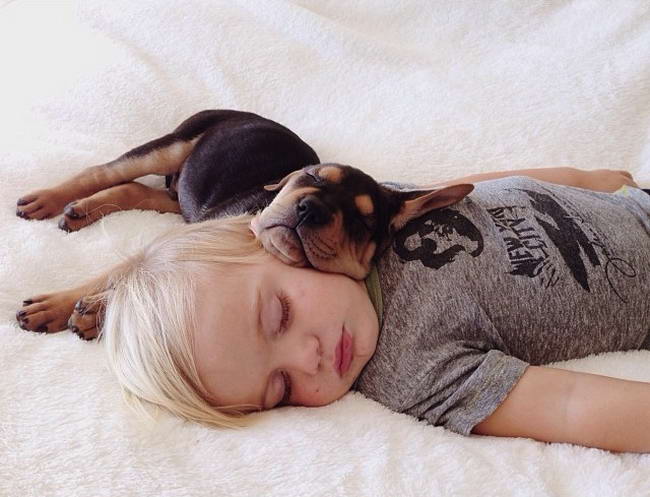 Chú chó Theo gối đầu ngủ trên Beau trông rất đáng yêu.