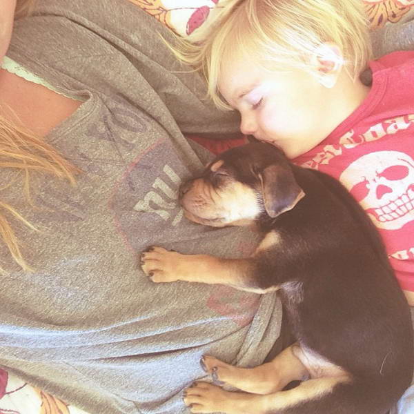 Beau và cún yêu ngủ ngon lành trong vòng tay của mẹ.