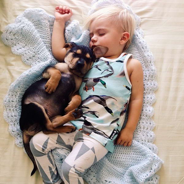 Beau và chú chó Theo rất thích ngủ cùng nhau.