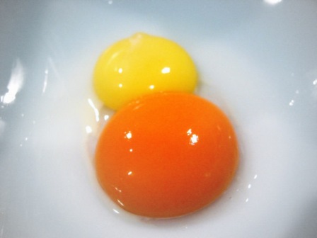 Trứng gà sống. Lòng trắng trứng gà sống khi ăn vào cơ thể rất khó hấp thu. Trong trứng gà sống có các chất làm cản trở sự hấp thu dinh dưỡng cơ thể và phá hoại công năng tiêu hóa của tụy tạng. Ngoài ra, ăn trứng gà sống rất mất vệ sinh, dễ đưa các vi khuẩn vào cơ thể, gây bệnh.
