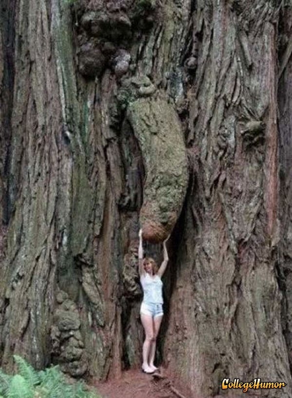 Còn cô nàng khách du lịch thì thích thú chụp ảnh lưu niệm với "nhánh cây" khác người này!