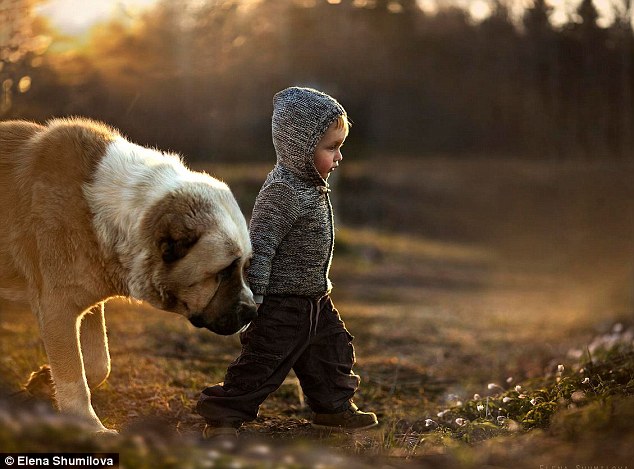 Cậu bé và chó đi dạo dưới nắng sớm mùa thu.