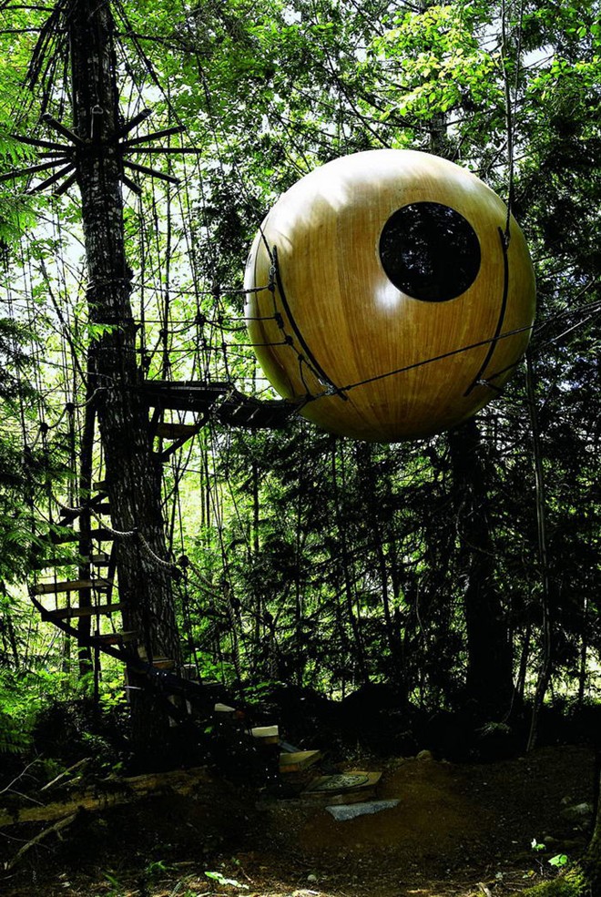 Nằm ở Qualicum Beach, BC, Canada, người ta thường gọi đây là ngôi nhà trên cây dành cho người lớn với vẻ ngoài giống như một trái bóng tròn.