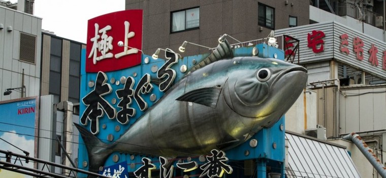 Chợ cá Tsukiji xuất hiện từ thế kỷ 16, chỉ cách phố chính Ginza sang trọng nổi tiếng nhất nhì thủ đô Tokyo chừng 15 phút đi bộ.