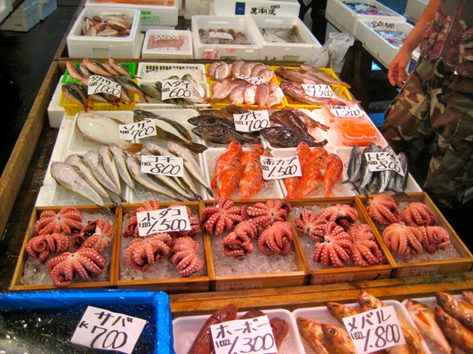 Chợ Tsukiji thực sự là một điểm du lịch hút khách vì những nét rất riêng của nó.