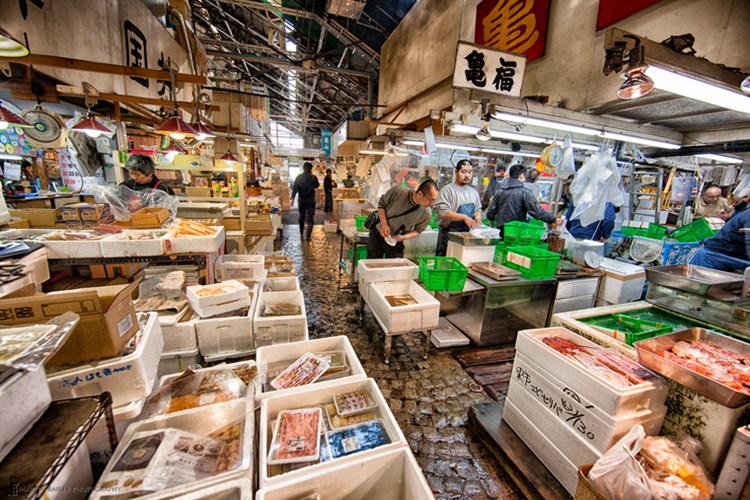 Mỗi đêm, chợ cá Tsukiji tập trung hơn 2.300 tấn hải sản từ 60 quốc gia trên thế giới. Mặc dù vậy, lượng hải sản nhập về chợ chỉ bằng 1/3 lượng tiêu thụ hải sản trong nước.