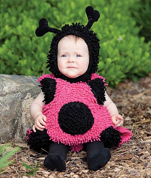 Em bé này dường như không muốn hóa thành ong.
