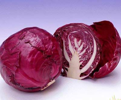 Bắp cải tím là một trong những thực phẩm tốt nhất phòng bệnh ung thư. Tuy nhiên, nhiều người lại không thích ăn loại rau này vì không hợp khẩu vị.