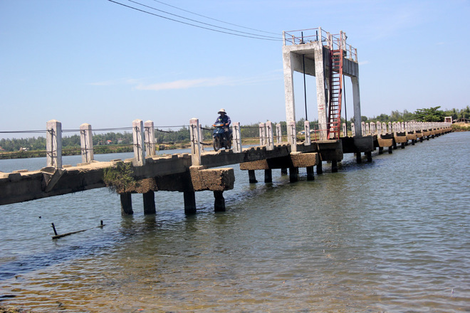 Vì là đường dẫn nước nên chiều ngang của cây cầu chỉ là 0,8 m, đủ cho hai người đi bộ tránh nhau. Dù có biển cấm xe máy, người dân 2 xã Tam Tiến và Tam Xuân 2 vẫn hàng ngày phóng xe qua lại.