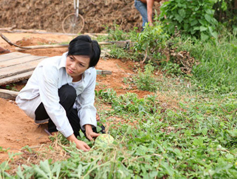 Phương Thanh rất có duyên làm nhà nông.