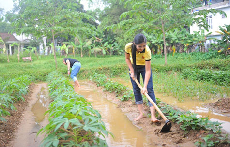Hoa hậu Ngọc Hân cũng thử làm công việc nhà nông.