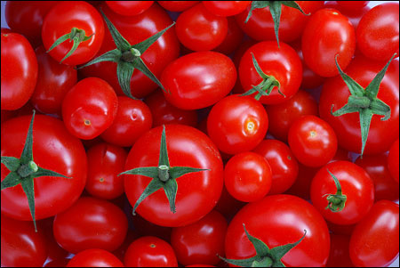 Cà chua: Để cà chua chín đều, đẹp thì người trồng hay sử dụng các loại thuốc ủ chín hoa quả. Chính vì vậy mẹ nên lựa chọn những trái cà chua xanh và chờ chín dần để sử dụng cho con thì sẽ an toàn hơn.