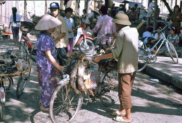 Chợ cóc những năm 1991 rất phổ biến ở Hà Nội.