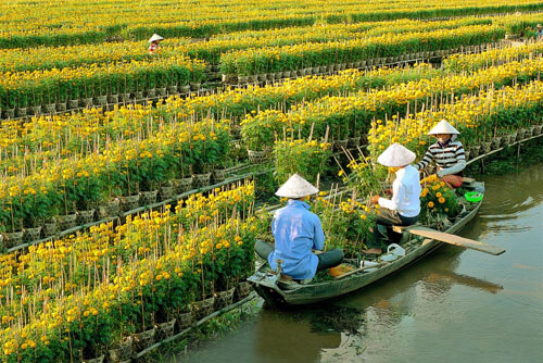 Không chỉ mạnh về nông nghiệp, khu vực đồng bằng sông Cửu Long còn là một khu bảo tồn thiên nhiên rộng lớn.