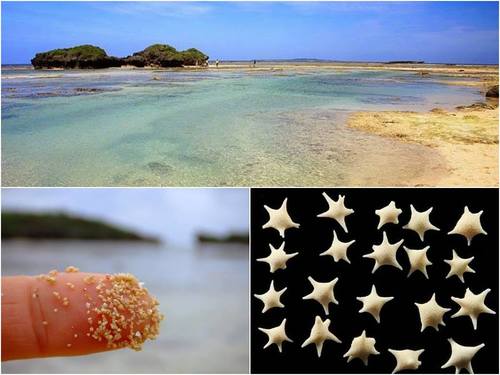 Bãi biển này nổi tiếng với bãi cát hình ngôi sao độc đáo. Thực chất những ngôi sao này là vỏ của một loài thủy sinh nhỏ xíu.