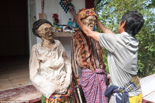 Cứ tới tháng 8 hằng năm, người dân Toraja phía Nam hòn đảo Sulawesi, Indonesia, sẽ tiến hành nghi lễ làm sạch cho xác chết.