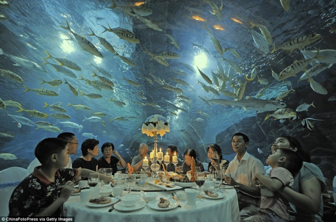 Sự kiện được nhà hàng ở thành phố Thiên Tân, Trung Quốc tổ chức nhân dịp lễ Trung thu. Chỉ có một số ít thực khách may mắn được thưởng thức bữa tiệc dưới 'đại dương'.