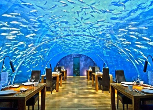 Được mệnh danh là nhà hàng đẹp nhất thế giới, Ithaa (thuộc Đảo Rangali, Maldives) nằm ở độ sâu khoảng 5m so với mặt nước biển Ấn Độ Dương.
