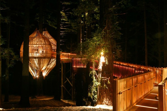 Dựa trên ý tưởng về ngôi nhà trên cây, nhà hàng Treehouse ở Auckland, New Zealand tọa lạc trên một cái cây và cách mặt đất khoảng 10m.