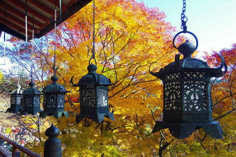 Mùa thu ở Nhật Bản được coi là khoảnh khắc tuyệt vời nhất vì lúc này toàn bộ đất nước mặt trời mọc dường như được bao phủ bởi sắc màu, đặc biệt là cố đô Nara.
