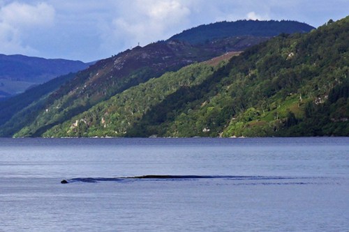 Bức ảnh được David Elder chụp lại trên hồ Loch Ness vào năm 2013.