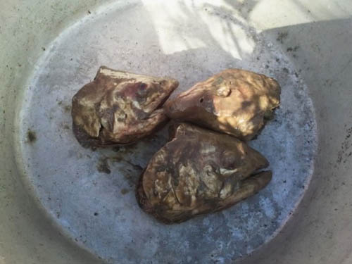 Món ăn thành phẩm đạt yêu cầu khi toàn bộ đầu và ruột cá bị phân hủy hoàn toàn, thối rữa và bốc mùi…