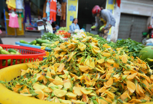 Ở tất cả các chợ lẻ, mùa này bông điên điển là loại chiếm số lượng lớn nhất tại các quầy rau củ, với giá khoảng 40.000 đồng/kg.