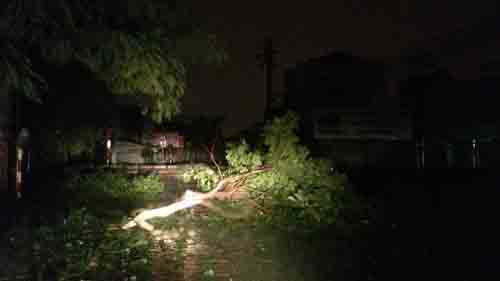 Trước đó, tối ngày 16/9, tại Hải Phòng, bão số 3 đổ bộ làm cây cối gãy đổ ngổn ngang.
