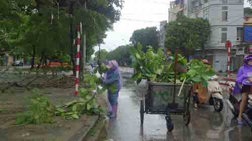 Công nhân môi trường Hải Phòng dọn dẹp cây gãy đổ trên đường phố.
