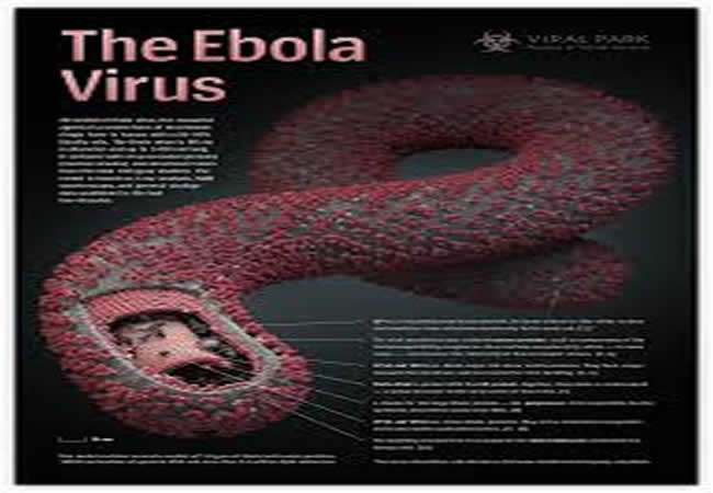 Đại dịch Ebola trong năm 2014 cũng đã từng được bà tiên đoán.