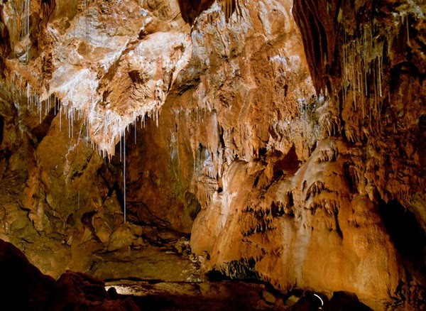 Với số lượng lớn các hang động đá vôi độc đáo tập trung gần nhau, nơi đây được ví như một bảo tàng dưới lòng đất. Quần thể này được UNESCO công nhận là Di sản Thiên nhiên thế giới vào năm 1995.