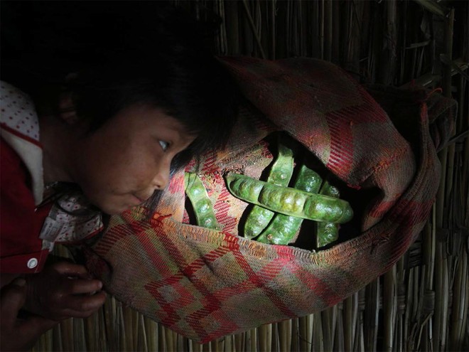 Một em bé Tsimane bên cạnh túi quả Inga mà người lớn vừa hái trong rừng. Bộ tộc Tsimane được coi là một 'hình mẫu' về ăn uống cho toàn bộ thế giới noi theo với chế độ dinh dưỡng cân bằng giữa hoa quả, rau xanh và thịt thú rừng.