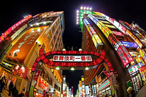 Kabukicho, Tokyo có rất nhiều quán bar với nam, nữ tiếp viên, cửa hiệu đồ chơi tình dục, khách sạn tình yêu, nhà hàng và hộp đêm.