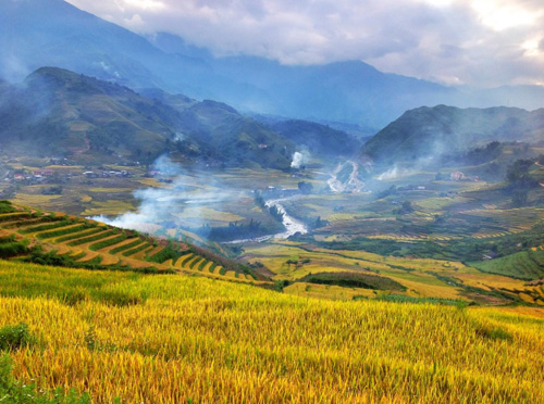 Cứ đến tầm tháng 9, tháng 10 âm lịch, làng quê Việt Nam bước vào mùa gặt.