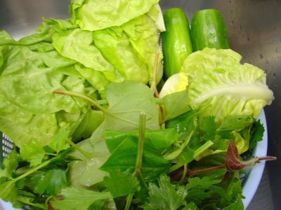 Rau sống - Bắp cải tím là một trong những thực phẩm tốt nhất phòng bệnh ung thư. Tuy nhiên, nhiều người lại không thích ăn loại rau này vì không hợp khẩu vị.
