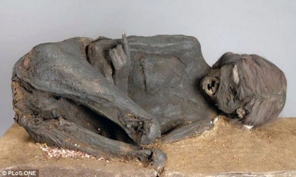 Xác ướp người phụ nữ Inca hiến tế 1.600 tuổi được phát hiện ở sa mạc Atacama, Nam Mỹ.