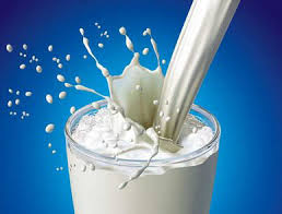 Sữa có chứa lượng protein lớn, nếu bạn uống chúng lúc đói,  lượng protein này sẽ “bị ép” chuyển hóa thành nhiệt lượng và tiêu hao hết, nên không còn tác dụng tẩm bổ nữa.