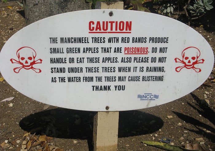 Manchineel nguy hiểm tới mức con người phải đặt biển khuyến cáo khắp nơi, yêu cầu người dân tránh xa chúng ít nhất 6m, không ăn quả và tránh để nhựa của loài cây này dính lên da.