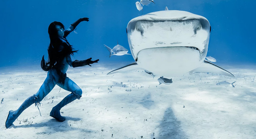 Cô quyết định thực hiện điệu nhảy dưới nước để chứng minh vẻ đẹp của sinh vật tuyệt vời dưới đáy đại dương.