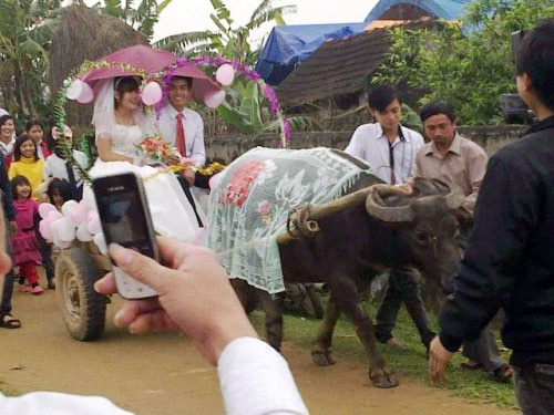 Vào đầu năm 2012, cộng đồng mạng xôn xao trước đoạn clip quay lại cảnh đưa dâu bằng xe trâu của một cặp đôi tại Nghệ An.