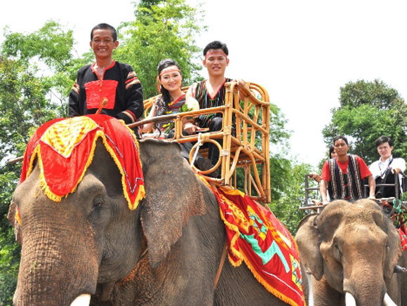 Rước dâu bằng cả đàn voi tại một đám cưới ở Đắk Lắk vào cuối năm 2012.