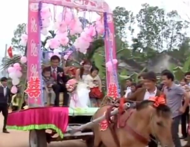 Chiếc xe ngựa được chọn làm xe hoa bởi cô dâu sinh năm ngựa, lại cưới vào năm ngọ.