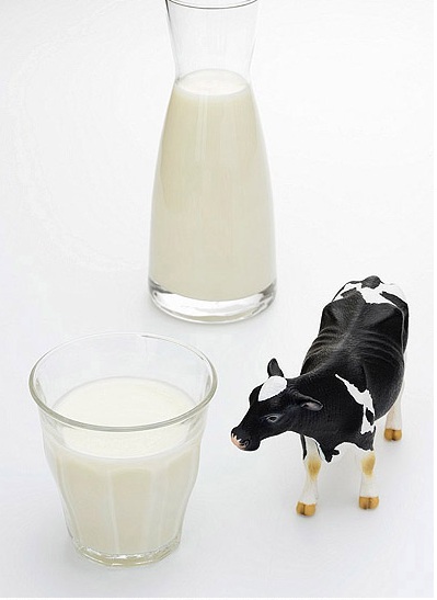 Sữa bò là một trong những nguyên nhân gây dị ứng thức ăn hàng đầu ở trẻ sơ sinh và trẻ nhỏ.