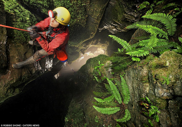 Một nhà thám hiểm đang trèo lên từ lối vào Pot Cow, một hang động cổ điển ở Yorkshire Dales.