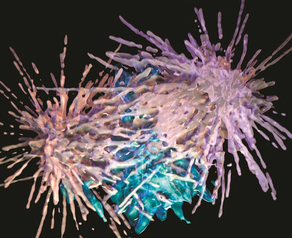 Hiệu ứng ảnh 3D đầy màu sắc cho thấy một tế bào ung thư thận đang phân chia, sử dụng dữ liệu từ kính hiển vi.