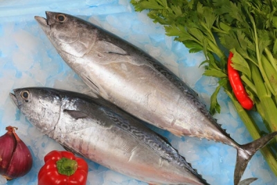 Cá ngừ là một thực phẩm giàu omega-3, và nó thường chi phí ít hơn cá hồi. Cá ngừ (cá ngừ trắng) có nhiều omega-3 hơn các giống cá ngừ khác.