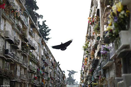 Những con chim kền kền thường xuyên xuất hiện và lượn lờ trên đầu những người đang khai quật, càng làm tăng thêm cảm giác rùng rợn và chết chóc của nghĩa trang.